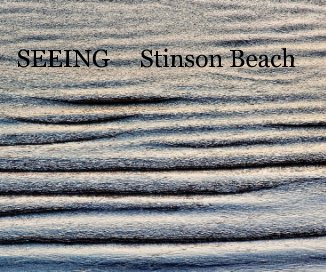 SEEING Stinson Beach book cover