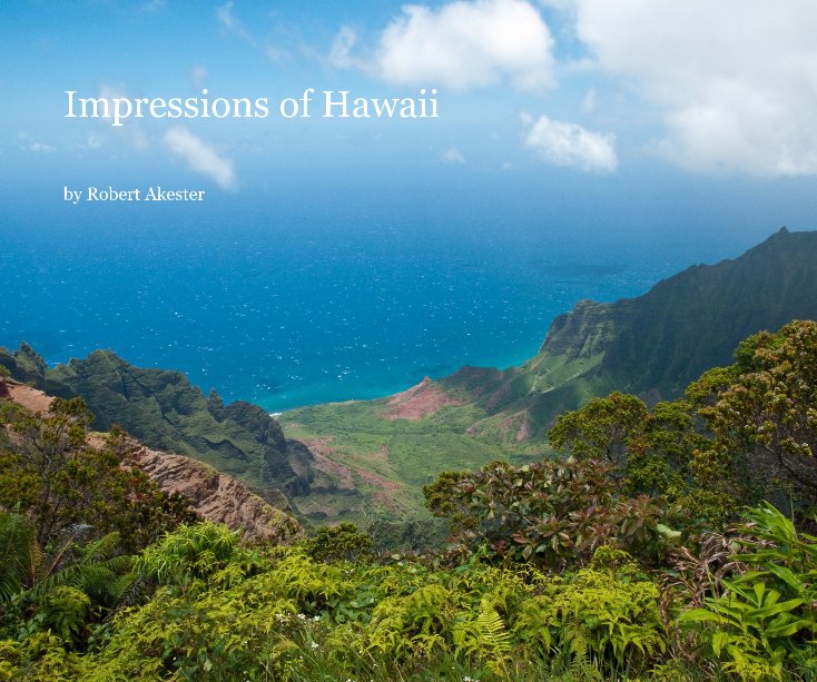 View Impressions of Hawaii by Robert Akester