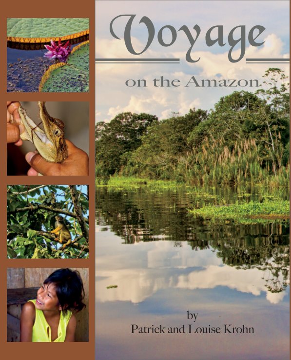 View A Voyage on the Amazon (dust jacket cover) by Patrick and Louise krohn