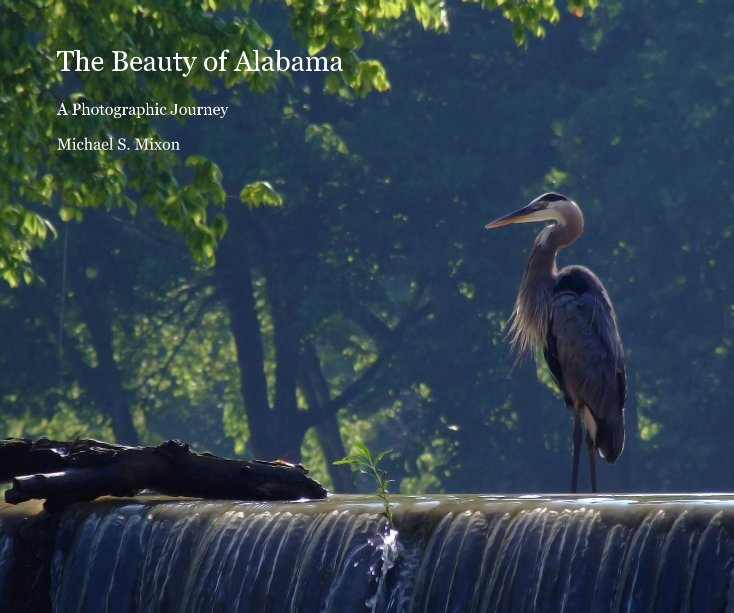 View The Beauty of Alabama by Michael S. Mixon