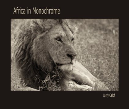 Africa in Monochrome book cover