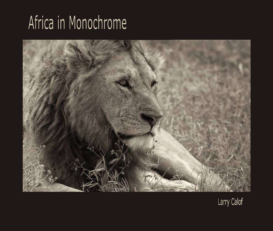 View Africa in Monochrome by Larry Calof