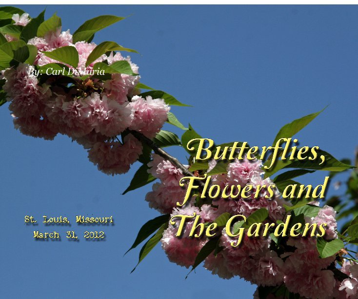 Ver Butterflies, Flowers and the Gardens por By: Carl DiMaria
