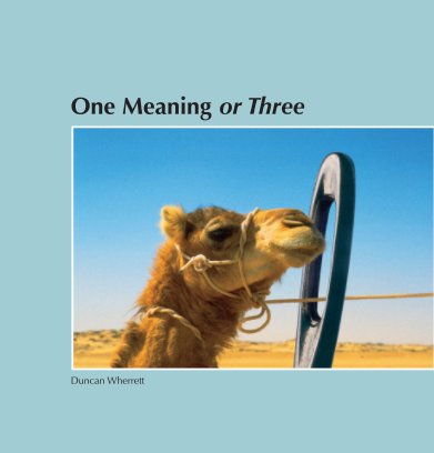 One Meaning or Three book cover
