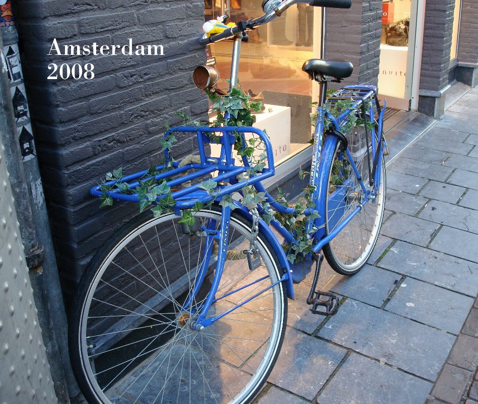 View Amsterdam 2008 by Robert Ebmer