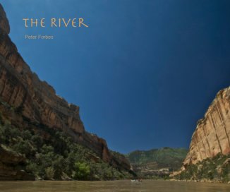 The River book cover