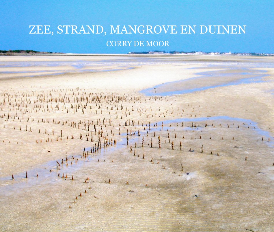 View ZEE, STRAND, MANGROVE EN DUINEN CORRY DE MOOR by CORRY DE MOOR