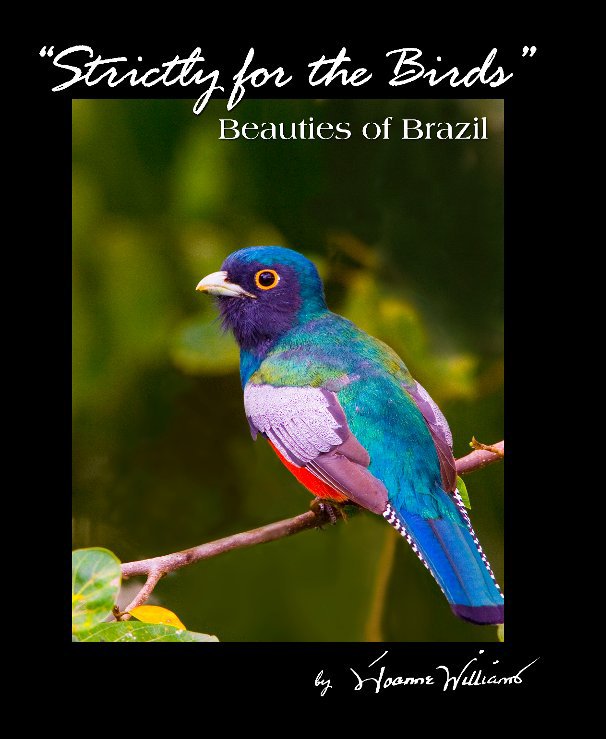 View Strictly for the Birds by Joanne Williams