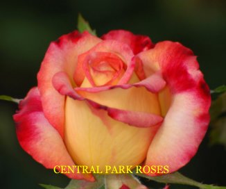 CENTRAL PARK ROSES book cover