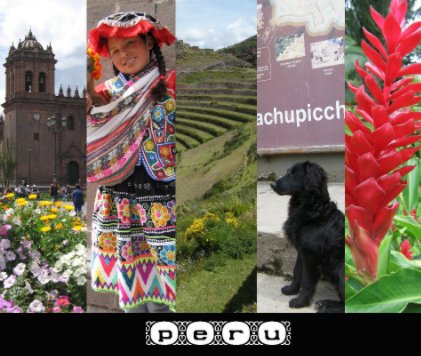 PERU book cover