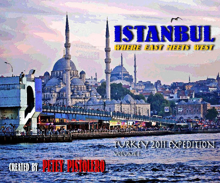 View Istanbul: Where East Meets West by Petey Pistolero