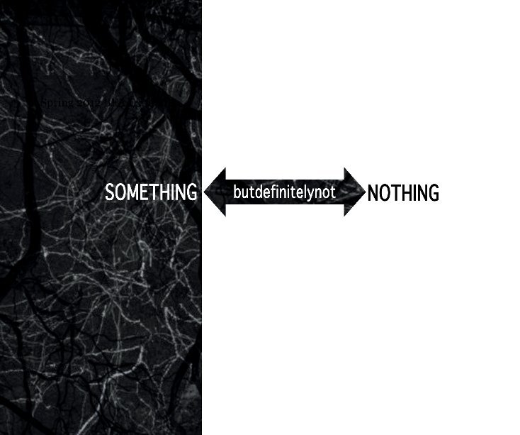 View Something but definitely not Nothing by Spring 2012 BFA Exhibition
