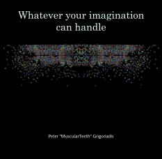 Whatever your imagination can handle book cover