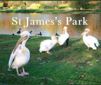 St James's Park book cover