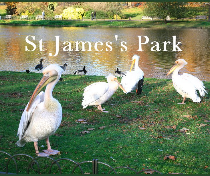 View St James's Park by Emile Haydon