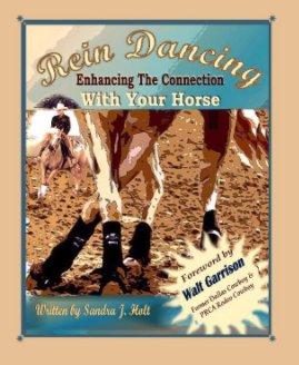 REIN DANCING (Soft Cover) book cover