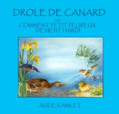 DROLE DE CANARD book cover