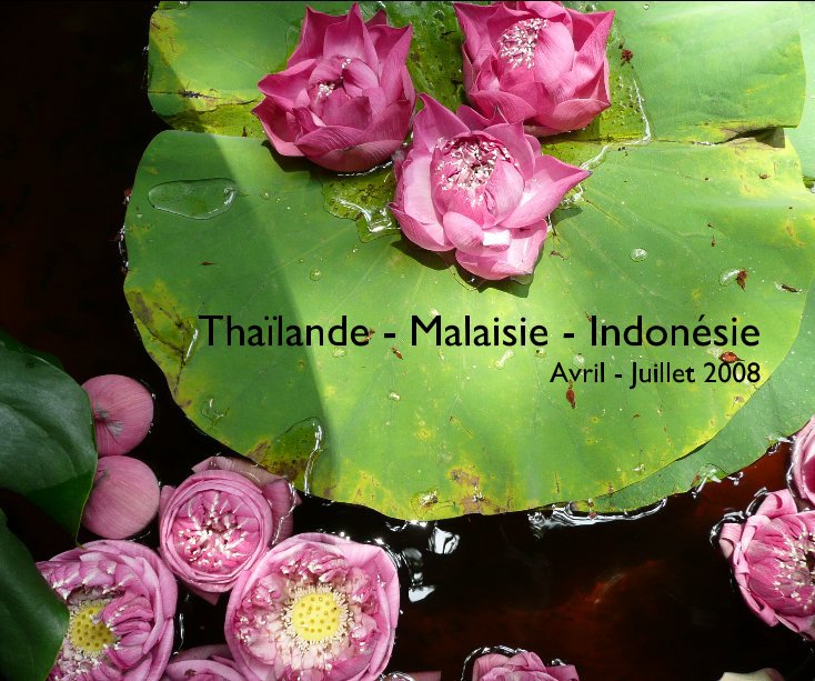 Ver Thailande - Malaisie - Indonesie  Avril - Juillet 2008 por miki116bis
