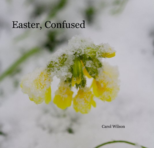 View Easter, Confused by Carol Wilson
