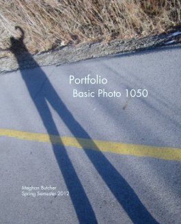 Portfolio
               Basic Photo 1050 book cover