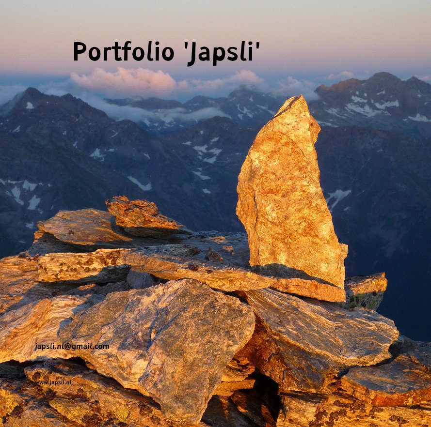 Visualizza Portfolio 'Japsli' 30x30 di japsli.nl