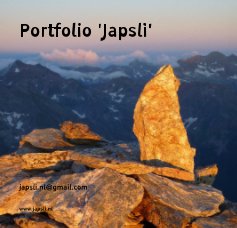 Portfolio 'Japsli' 18x18 book cover