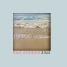 SAN ANDRES 2012 book cover