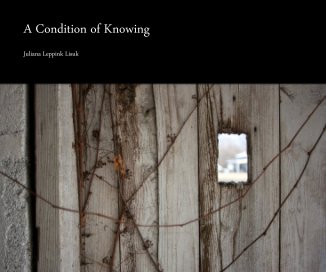 A Condition of Knowing book cover
