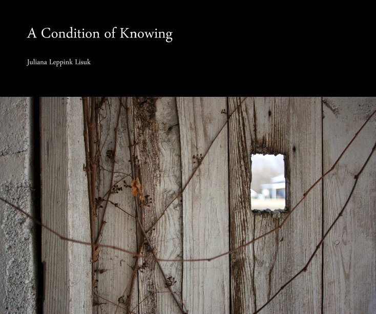 View A Condition of Knowing by golkap