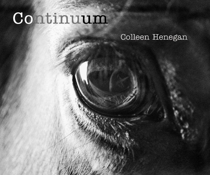 View Continuum by Colleen Henegan