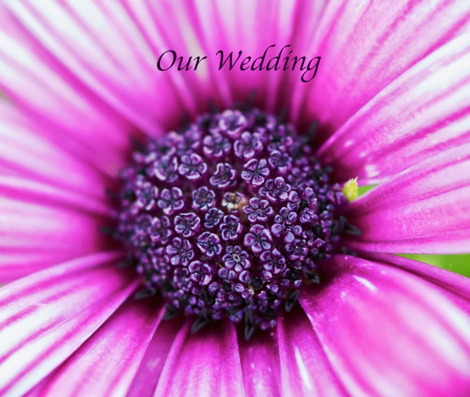 View Our Wedding by Michael and Leah Flaven