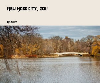 New York City, 2011 book cover