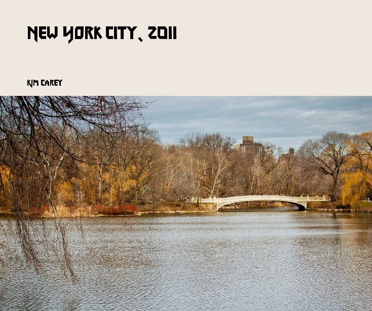 Visualizza New York City, 2011 di Kim Carey