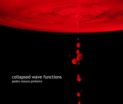 collapsed wave functions book cover