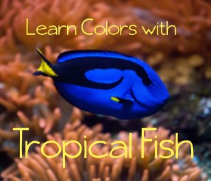 Learn Colors With Tropical Fish book cover
