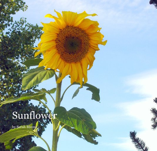 Ver Sunflower por Sarah Bivens