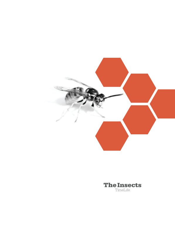 Ver Insects por Matthew Metz