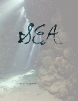The Sea book cover