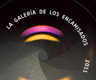 La Galería de los Encamisados 2011 book cover