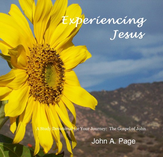 View Experiencing Jesus by John A. Page