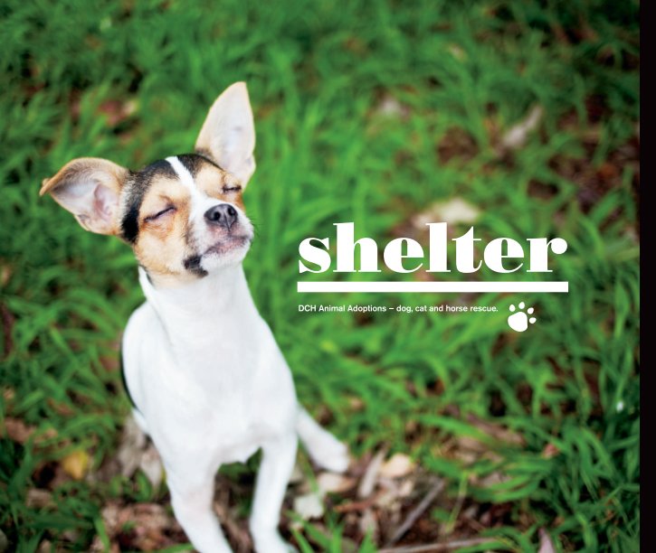View Shelter by Cathy Topping