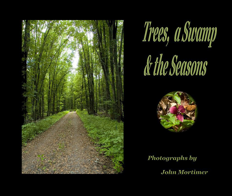 View Trees, a Swamp and the Seasons by John Mortimer