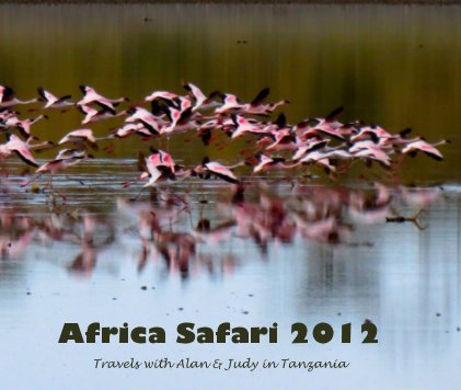Africa Safari 2012 book cover
