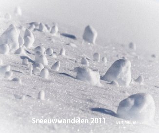 Sneeuwwandelen 2011 book cover