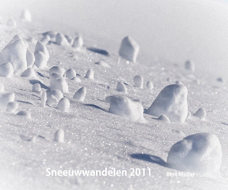 Visualizza Sneeuwwandelen 2011 di Bert Muller