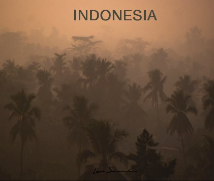 INDONESIA Luca Serradura book cover
