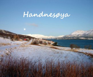 Handnesøya book cover