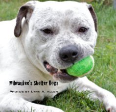 Milwaukee's Shelter Dogs book cover