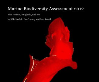 Marine Biodiversity Assessment 2012 book cover
