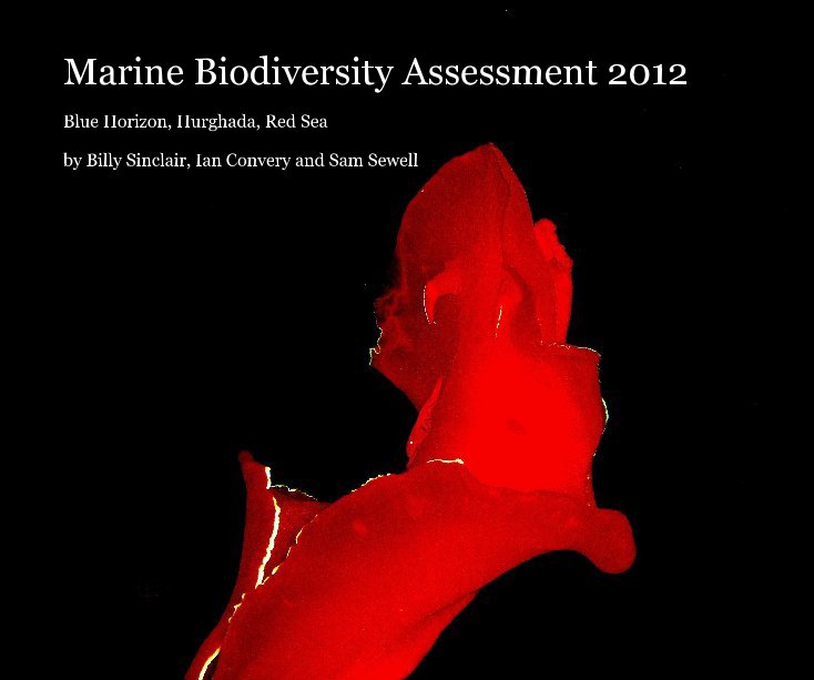 Ver Marine Biodiversity Assessment 2012 por Billy Sinclair, Ian Convery and Sam Sewell
